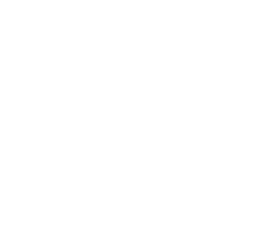 icon_selbstaendigkeit2